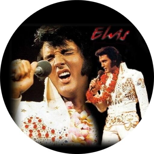 The Wonder Of Elvis